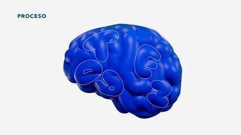 Cerebro guía diseño