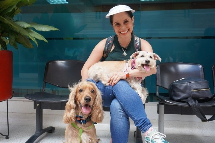 PERRITOS