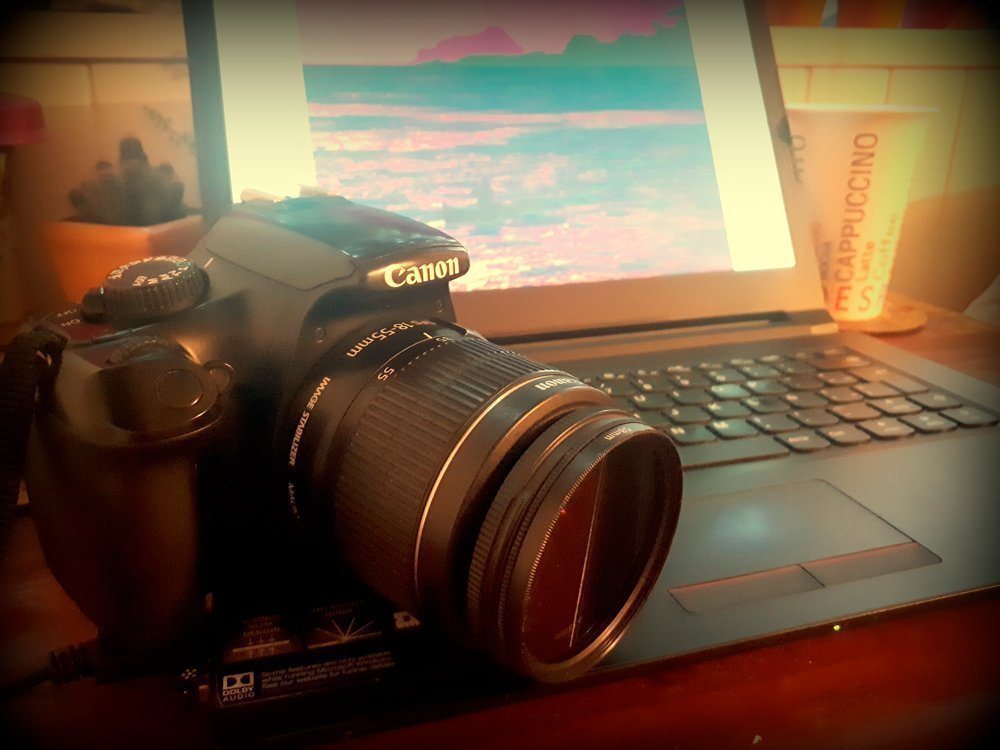 Claudia Elena Villegas - Artistas Bolivarianos