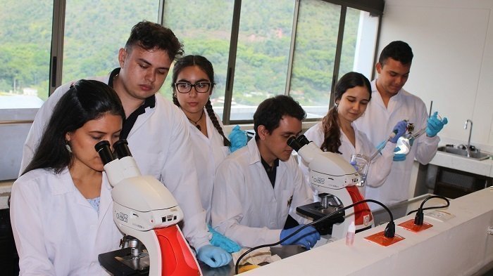 Acetaminofen_Tipo interna