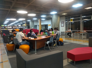 Bibluioteca nocturna