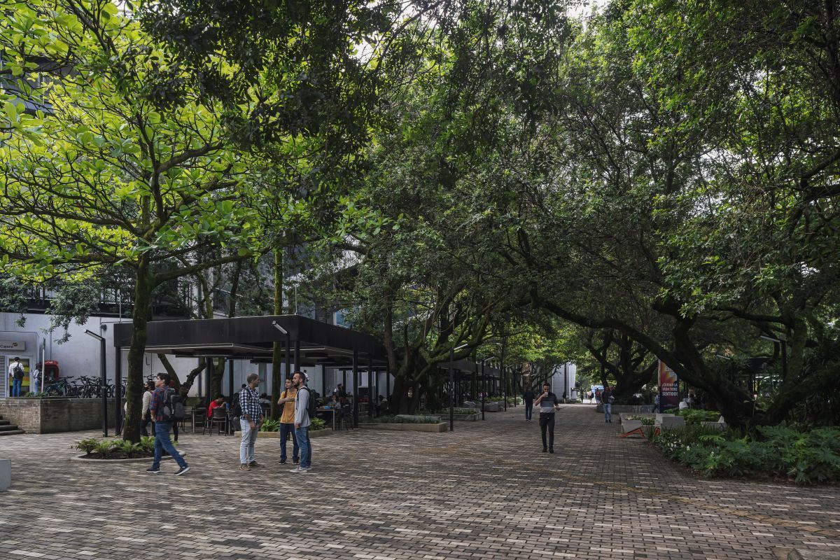 UPB mejor en Colombia por su aporte al cambio climático y a la energía asequible.