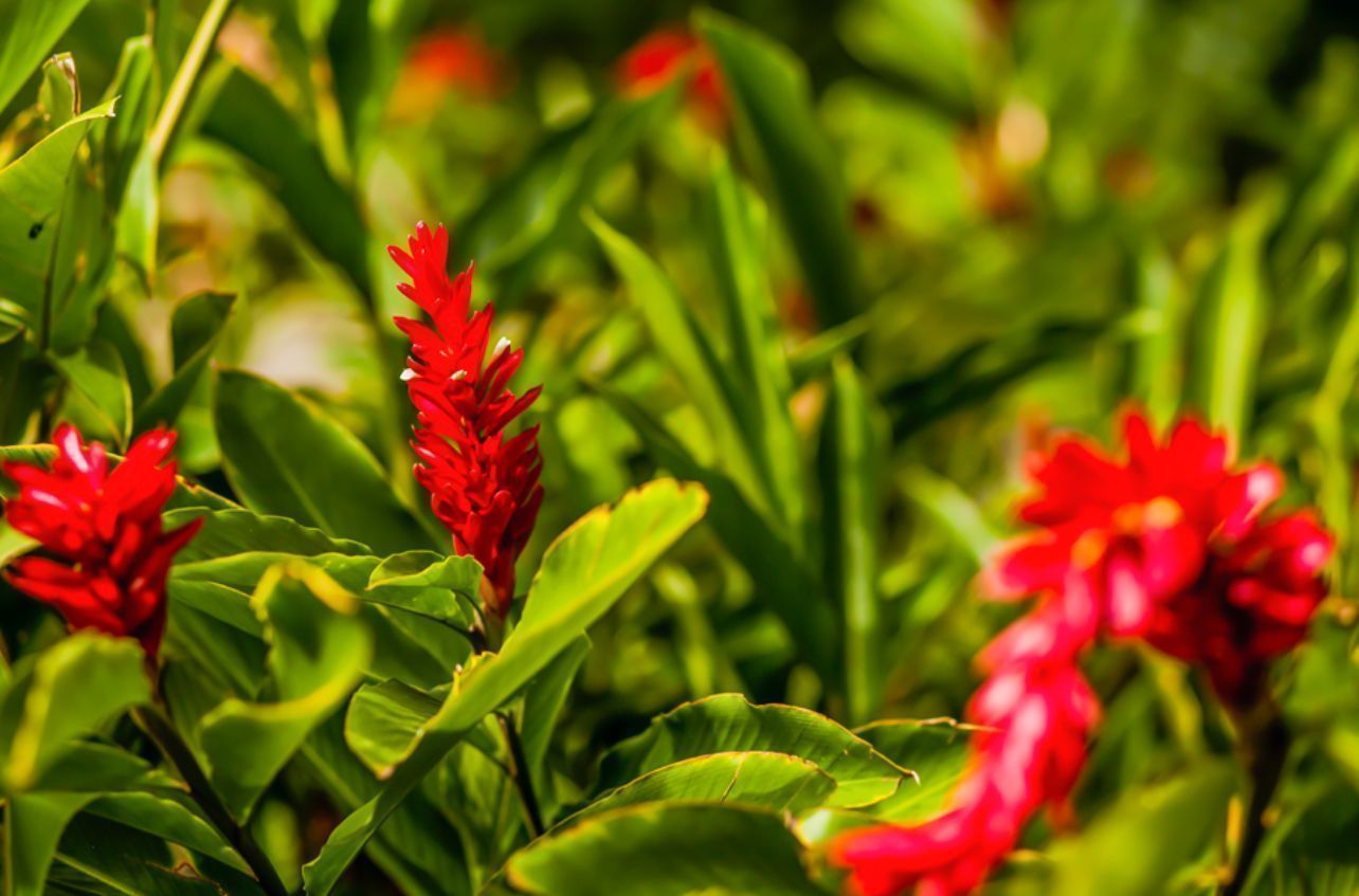 Reporte de Sostenibilidad 2024