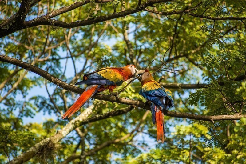 Reporte de Sostenibilidad 2024