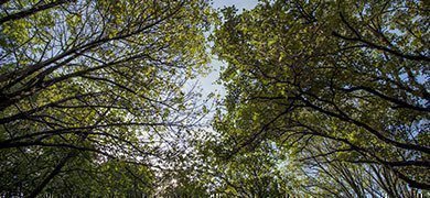 política ambiental de la UPB