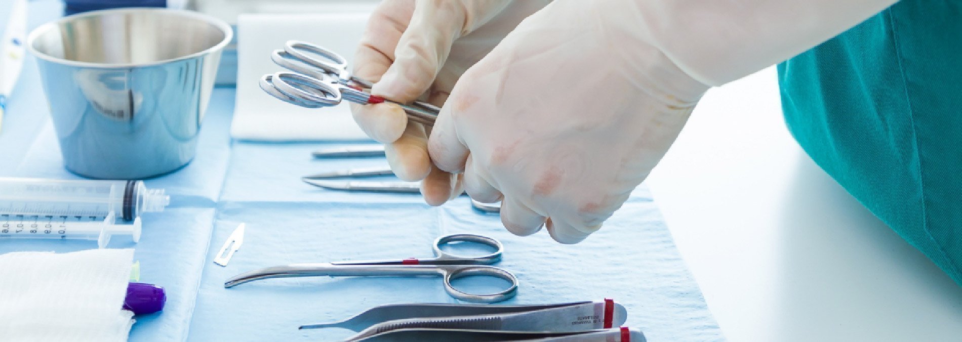 Curso de Anatomía Humana