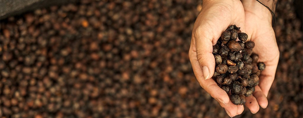 Curso Negocios que Inspiran