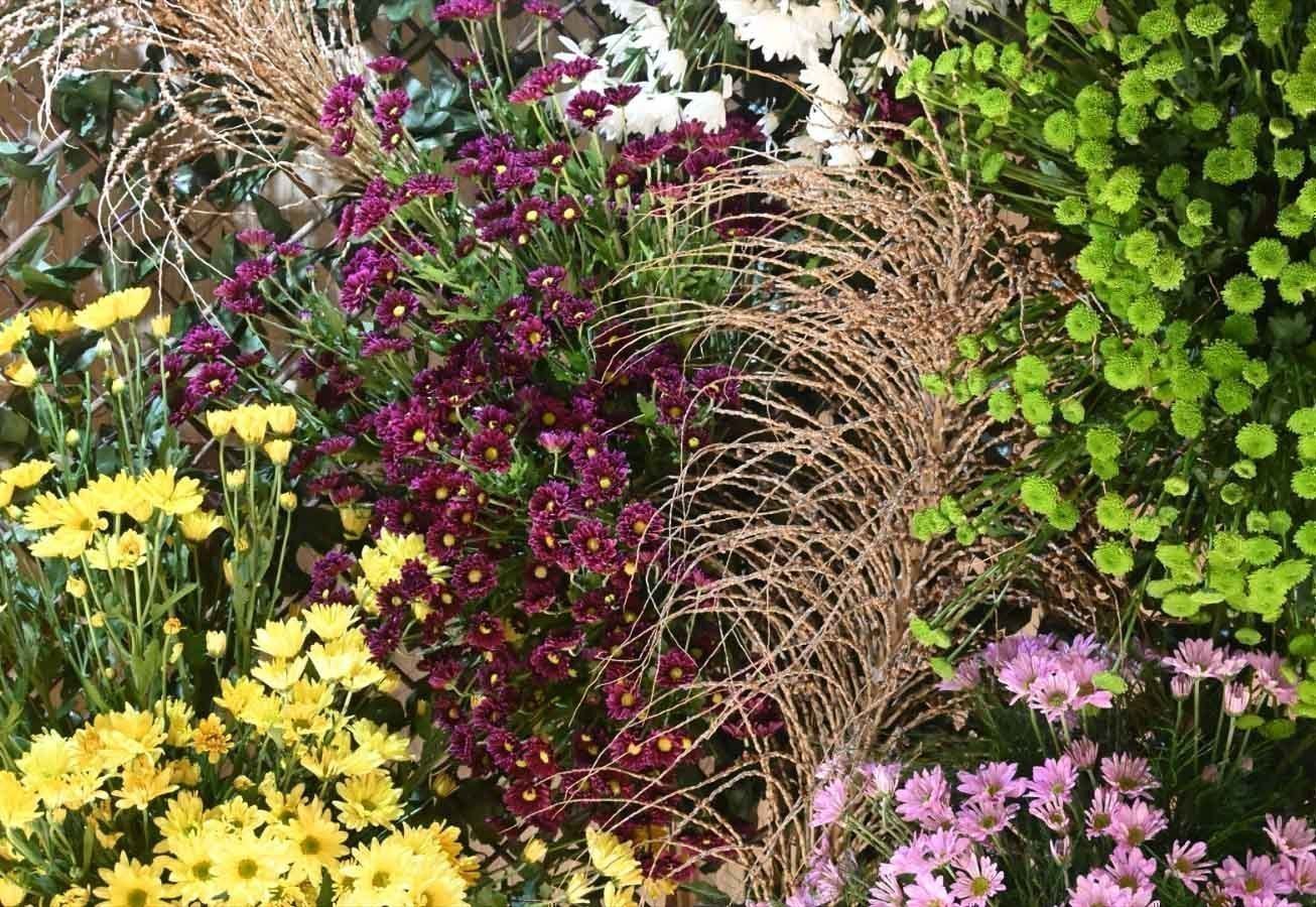 Rueda de prensa Colombia E