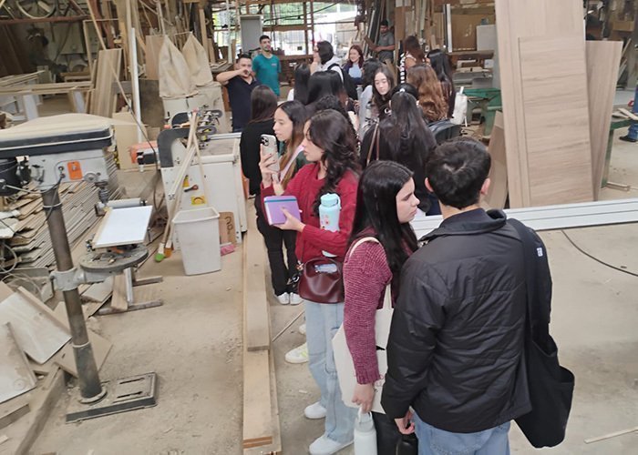 Diseño, saberes y madera