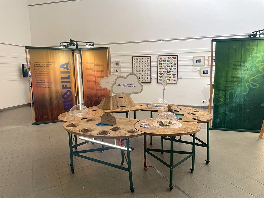 4° Encuentro Internacional de Experiencias Investigativas en Arquitectura y Diseño y la 12° Jornada del Vestir y la Moda