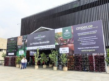 Entrada ExpoAgrofuturo