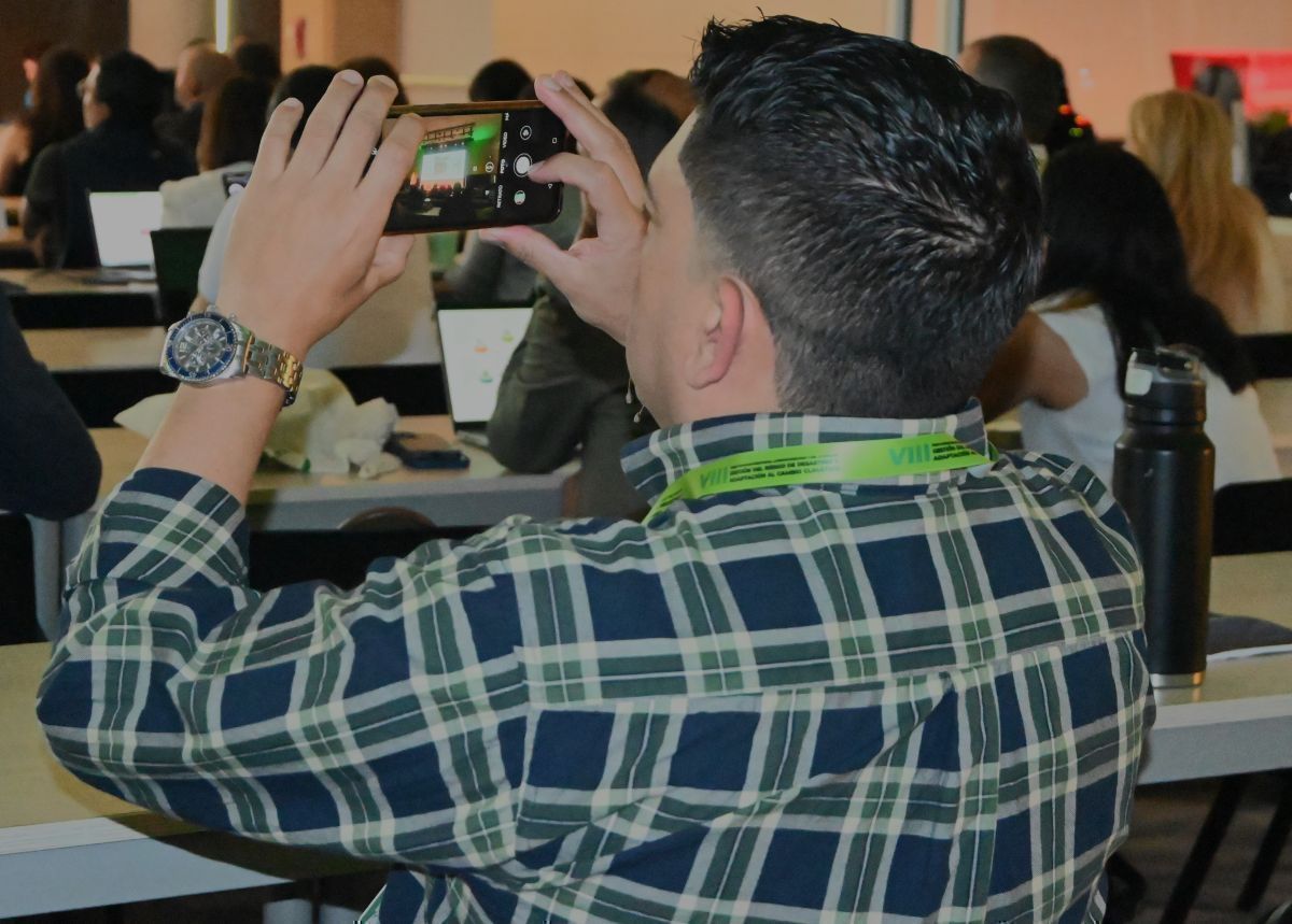 Estrategias desde la academia