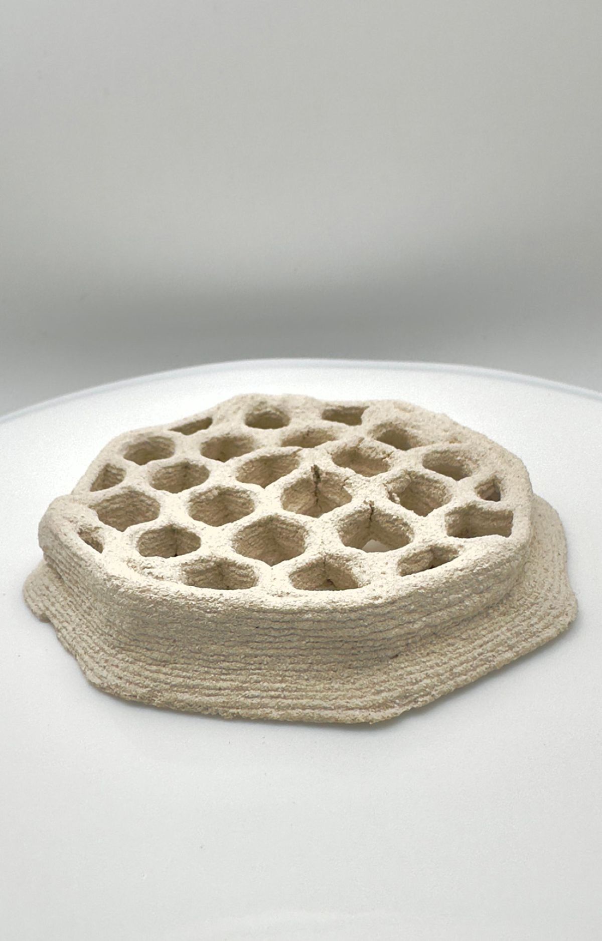 Uno de los enfoques más innovadores ha sido la exploración de estos compuestos a través de manufactura aditiva mediante impresión 3D (Paste Deposition Modelling). Esta técnica permite obtener morfologías personalizadas con materiales biobasados .