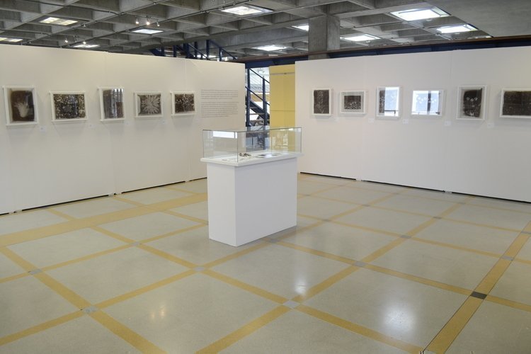 Exposición Huellas del rastrojo