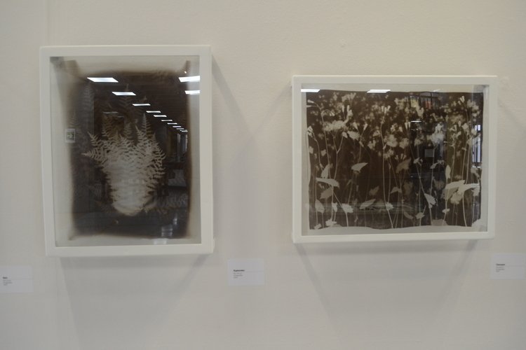 Huellas del rastrojo