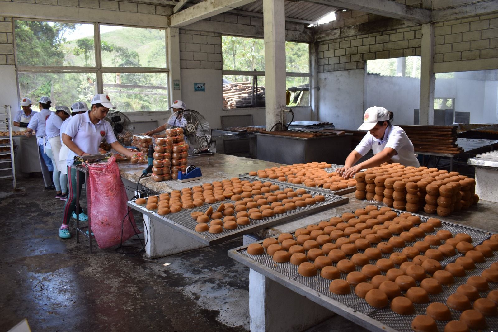 Proceso de producción de la panela