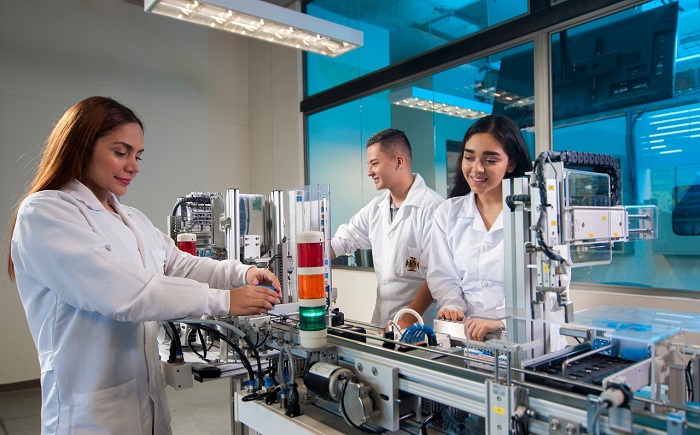 Tipo D Ingeniería Industrial