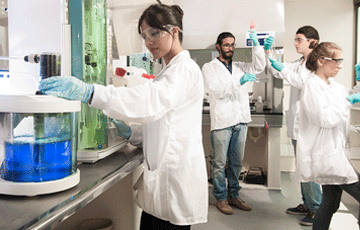 investigaciones ranking