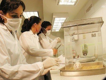 JovenesInvestigadores_TipoD1