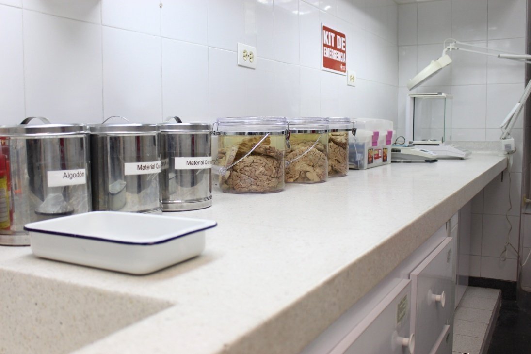 Sala de cirugía animal