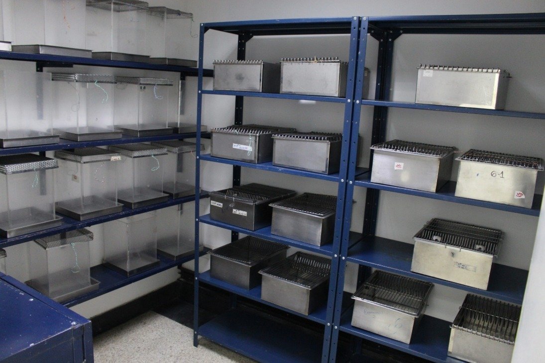 Bioterio de permanencia