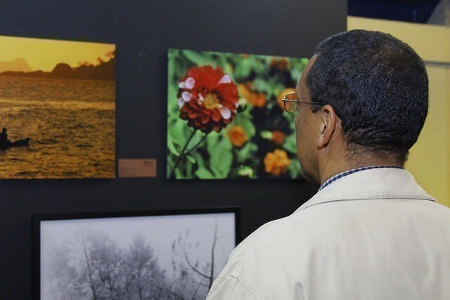 Espectador observando la Muestra