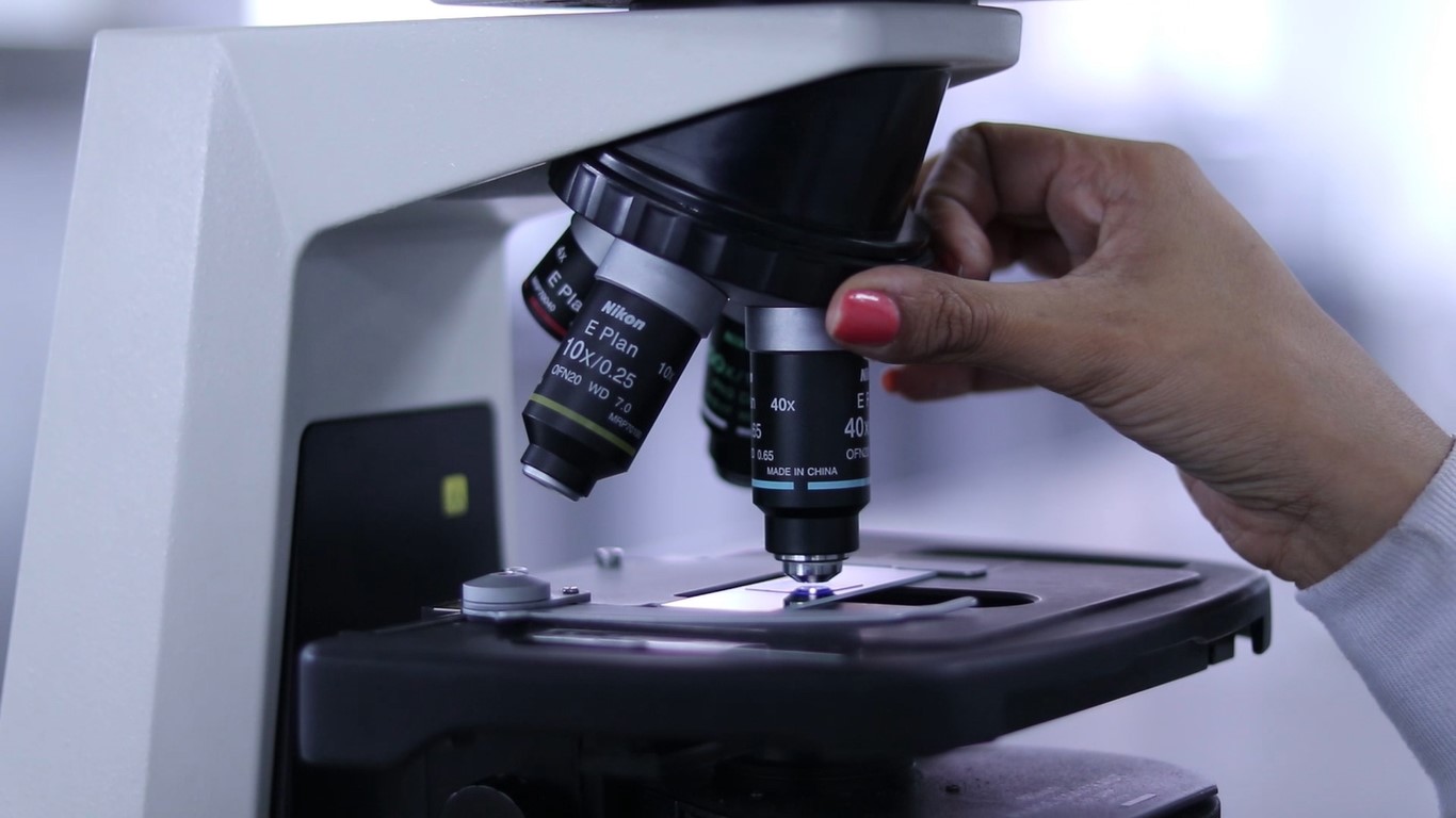 Día mundial de la investigación contra el cancér 