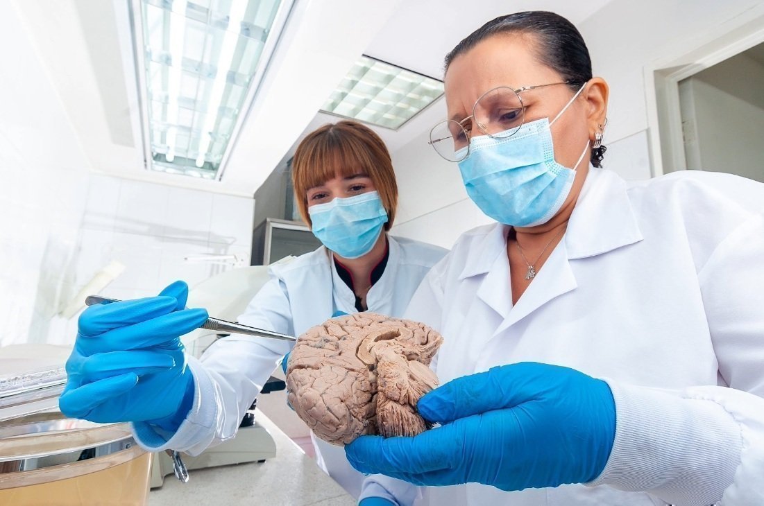 Laboratorio de Neurociencias y Comportamiento