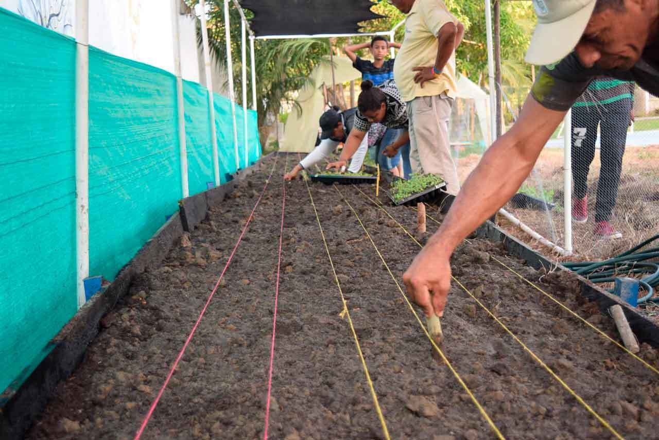 Portada huertos urbanos en espacios residuales