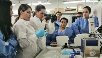 Nanobioingeniería