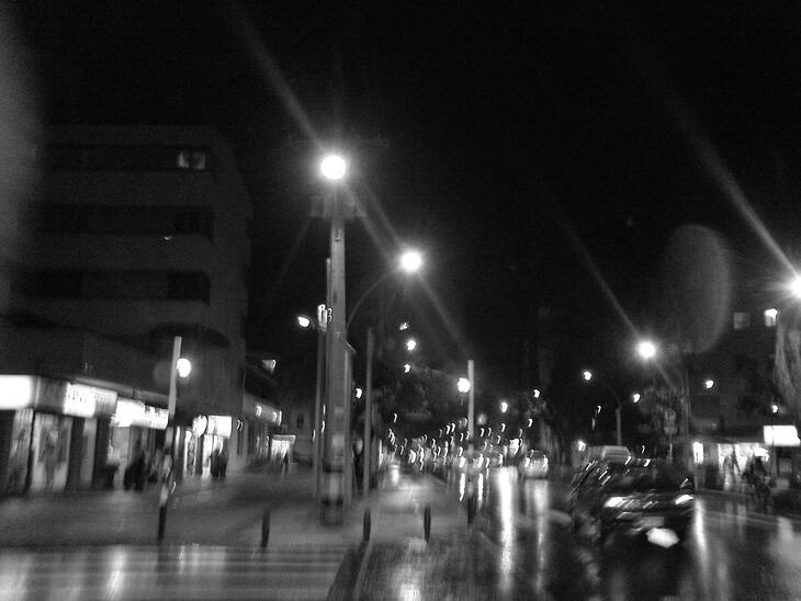 Ciudad salvaje. Autor: Luis Alberto Muñoz