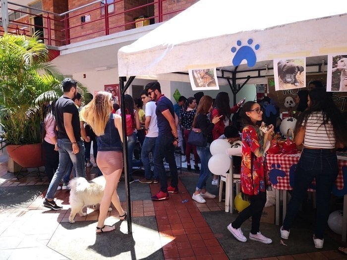 PolíticaAnimal_Interna3