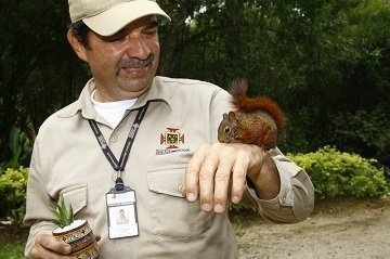 PolíticaAnimal_TipoD