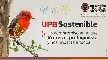 Sostenibilidad_TipoD