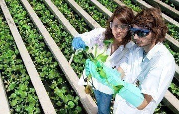 TendenciasInvestigacion_TipoD