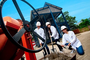 Tipo D Escuela de Ingeniería