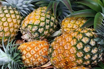 Foto Tipo D Patente Pesticida Natural upbbga2021