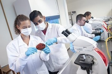 Fotos Tipo D semilleros de investigación 2022