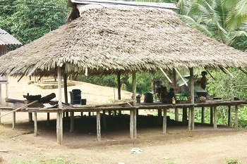 Tradiciones indígenas para control preventivo de COVID- 19 en el Chocó.