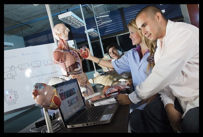 Tipo Interna Estudiantes Electronica 