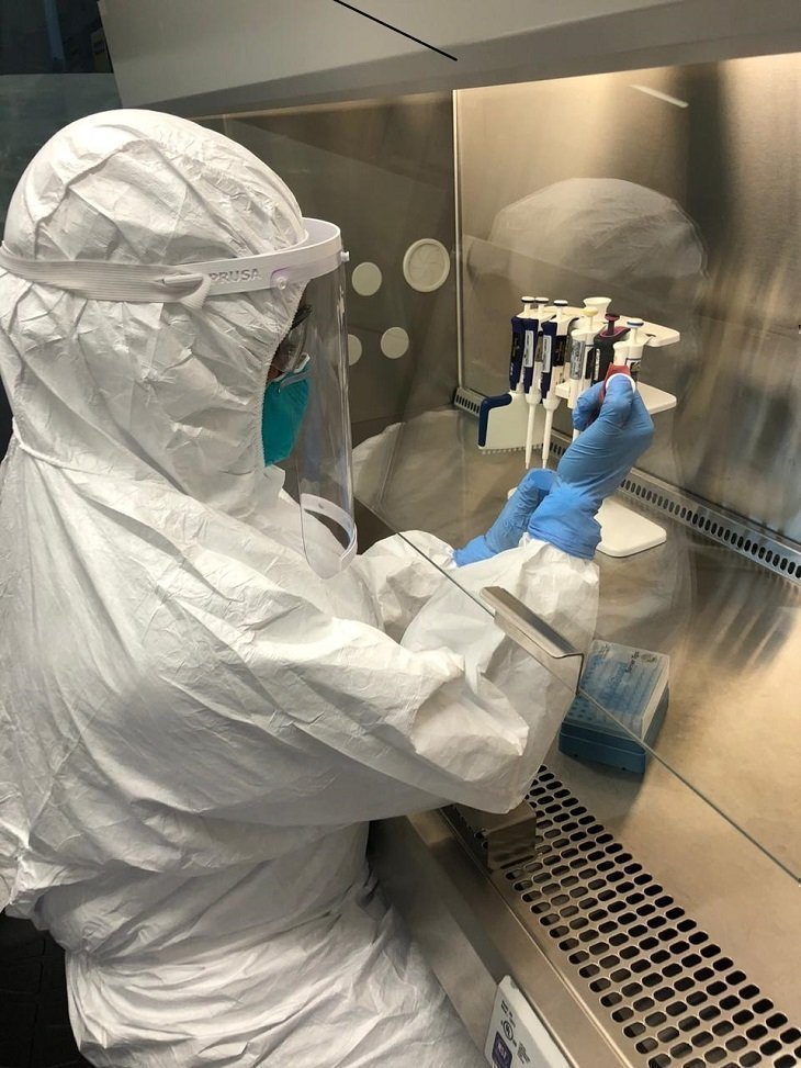 Universidad Nacional - Procesamiento pruebas en el Laboratorio One-Health