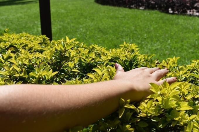 Piel recibiendo el sol sobre fondo natural