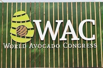 Congreso Mundial del Aguacate