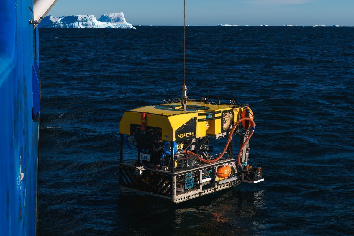 Vehículo ROV SuBastian / fotografía: Alex Ingle/ Schmidt Ocean Institute. 