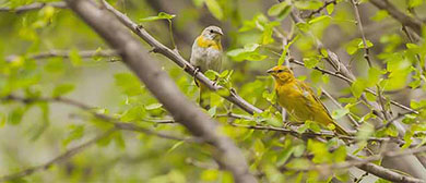Política de prevención y acompañamiento al consumo de sustancias psicoactivas y conductas adictivas